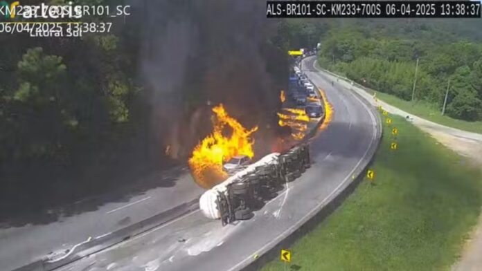 incendio-morro-cavalos-01