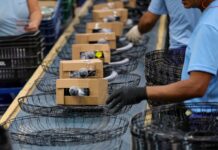Santa Catarina gera 63 mil novas vagas de emprego no primeiro quadrimestre