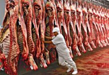 União Europeia oficializa veto à carne brasileira a partir de setembro