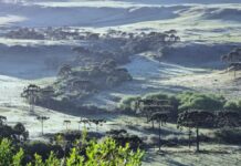 El Niño deve trazer inverno menos gelado este ano em Santa Catarina
