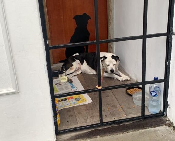 -2025-07-07-at-16.12.13-576x1024