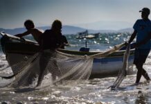 Economia do Mar representa 8,5% da força de trabalho formal catarinense