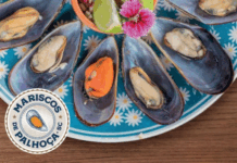 Campanha destaca maricultura desenvolvida no município de Palhoça