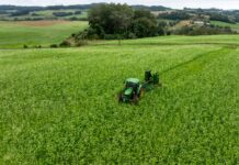 Programa de R$ 750 milhões prevê o fortalecimento da agricultura familiar em Santa Catarina