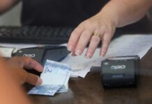 Economia criativa de Santa Catarina registra aumento de 62,8% e cresce acima da média nacional