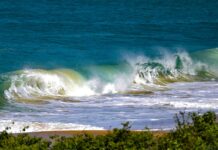 Balneabilidade nas praias de SC cai para 67,18% na virada do ano