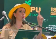 Articulações para suplência ao Senado movimentam bastidores políticos em SC