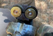 Homem é preso durante caça ilegal no interior de Santa Catarina