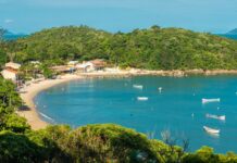 Baía dos Golfinhos é finalista do prêmio O Melhor do Turismo Brasileiro 2026