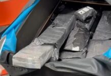 PF prende passageira com 10kg de haxixe em Aeroporto de Florianópolis