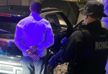 Guarda Municipal recupera veículo furtado e prende motorista por adulteração de sinal identificador