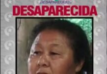 Cacina guarani de 71 anos desaparece de terra indígena na Grande Florianópolis