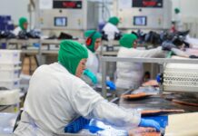 Santa Catarina cria mais de 59 mil novos empregos formais no primeiro trimestre de 2026