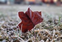 Santa Catarina registra frio intenso com mínimas de -5°C na serra e 7ºC no litoral