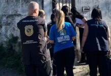 Situação de abandono de animais mobiliza força-tarefa em Palhoça