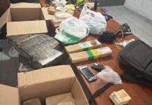 Operação apreende 48 quilos de drogas na Grande Florianópolis