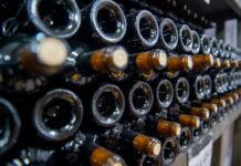 Número de vinícolas cresce 29% em Santa Catarina nos últimos seis anos e chega a 339