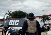 Empresário perde R$ 200 mil ao cair em golpe do falso repasse de BYD em Santa Catarina
