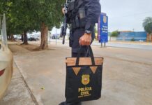 Golpistas que tiraram R$ 100 mil de empresário em SC são alvos de mandados de busca e apreensão