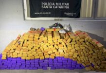 Policia Militar de Santa Catarina apreende mais de uma tonelada de maconha em três dias
