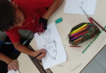Pesca artesanal da tainha é tema de trabalho pedagógico em escolas