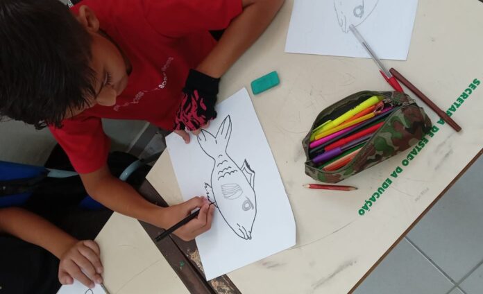 desemho-tainha-escola