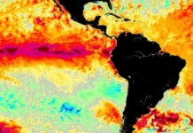 Defesa Civil de SC toma medidas após confirmação de El Niño intenso