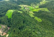 Programa incentiva a conservação da vegetação nativa no meio rural em SC