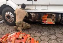 Motorista é preso por levar 581 kg de maconha escondidos em ‘tanques extras’ de carreta