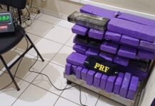 PRF apreende 60 quilos de maconha na BR-101 e prende motorista em Joinville