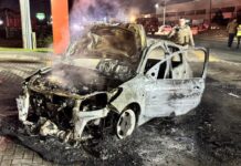 Carro é destruído por incêndio na SC-410, em Canelinha