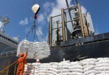 Tarifa de Trump pode atingir 36,5% das exportações do agro brasileiro para os EUA