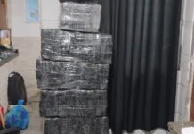 Operação da Polícia Civil prende 10 e apreende cerca de 300 kg de drogas na Grande Florianópolis